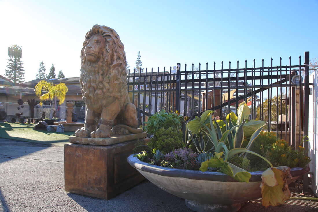 A seated stone lion beside a planted stone bowl at the edge of the yard.